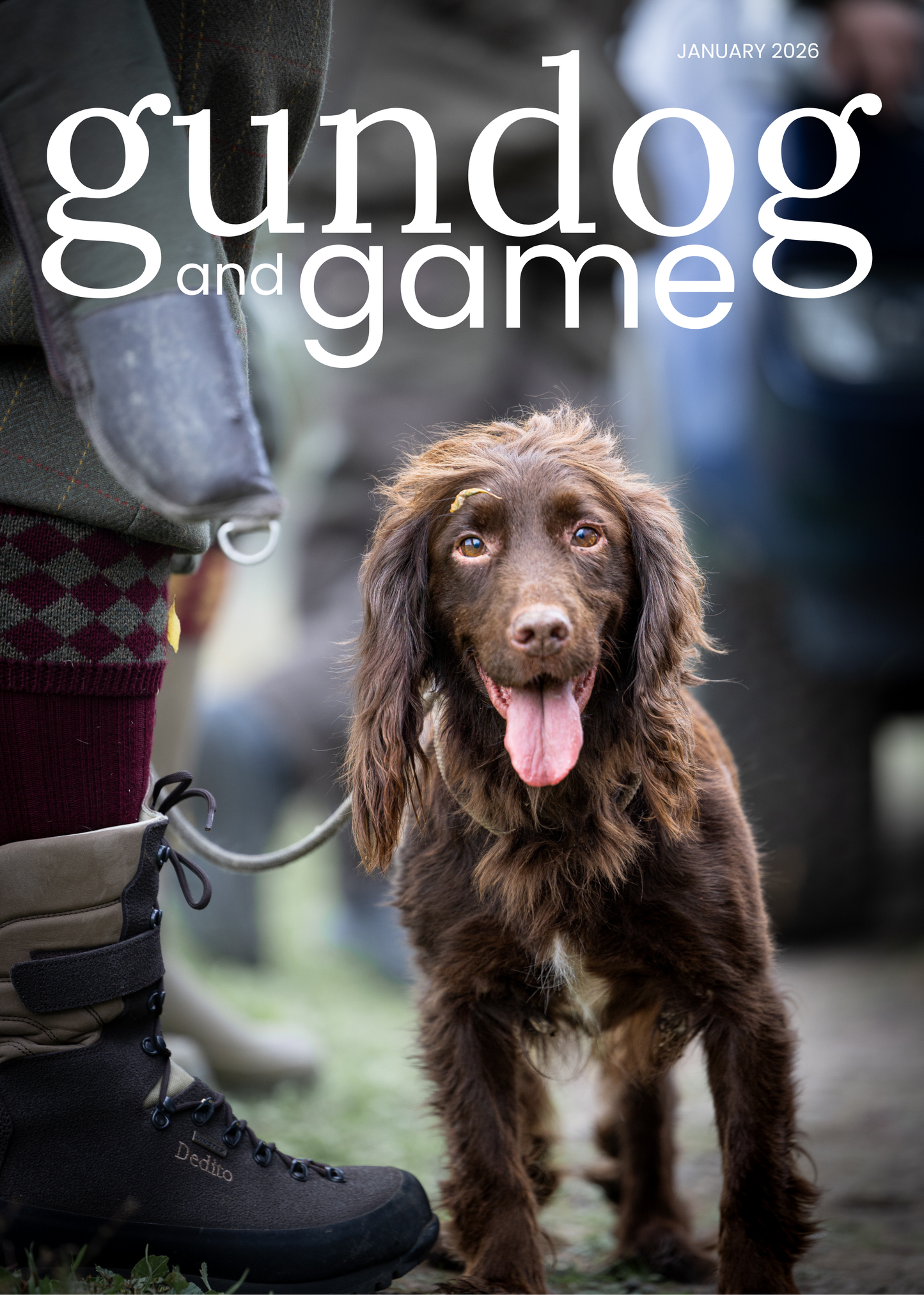 Subscribe to Gundog and Game