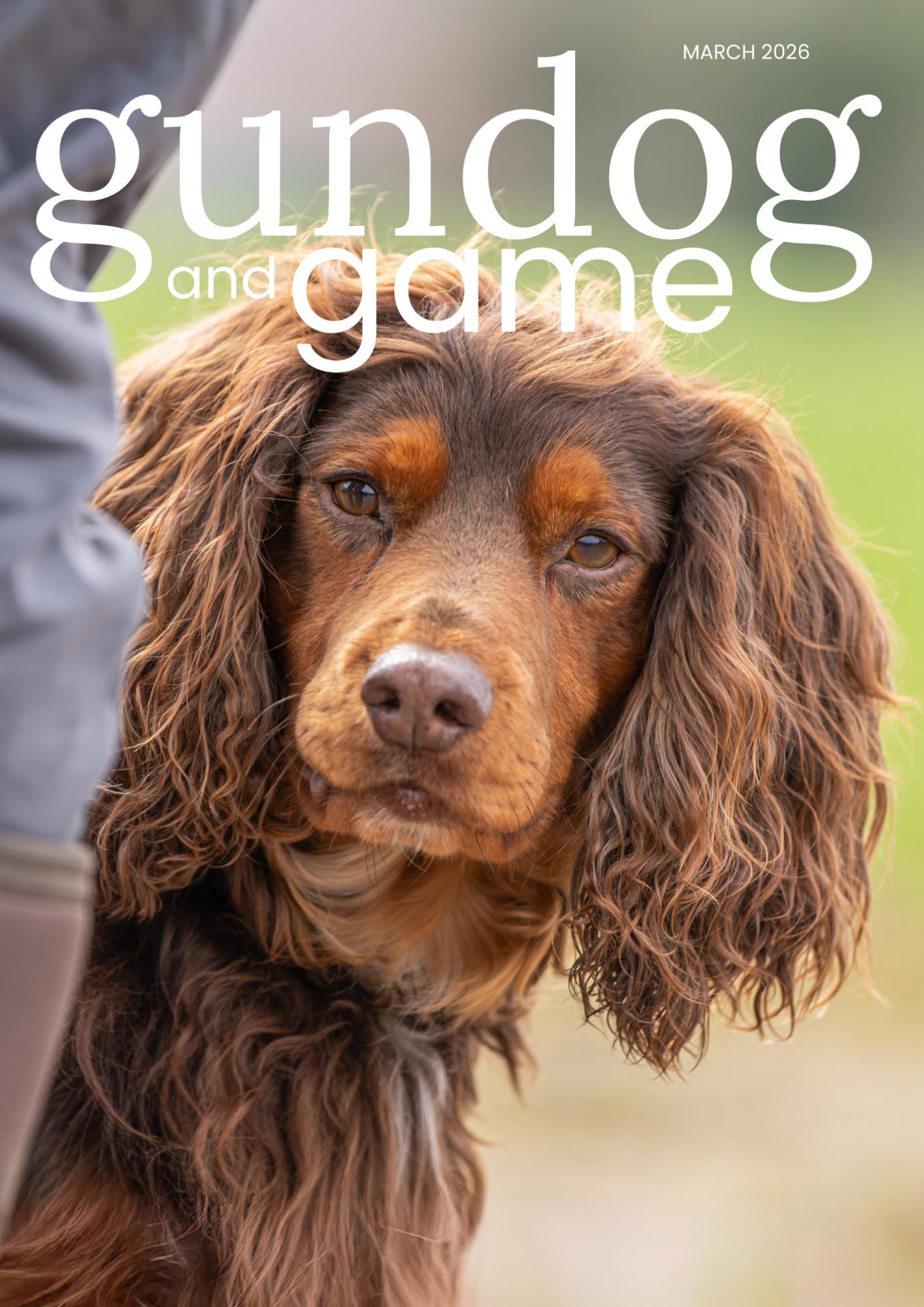 Subscribe to Gundog and Game