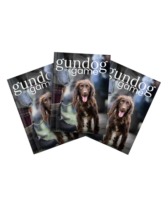 Subscribe to Gundog and Game